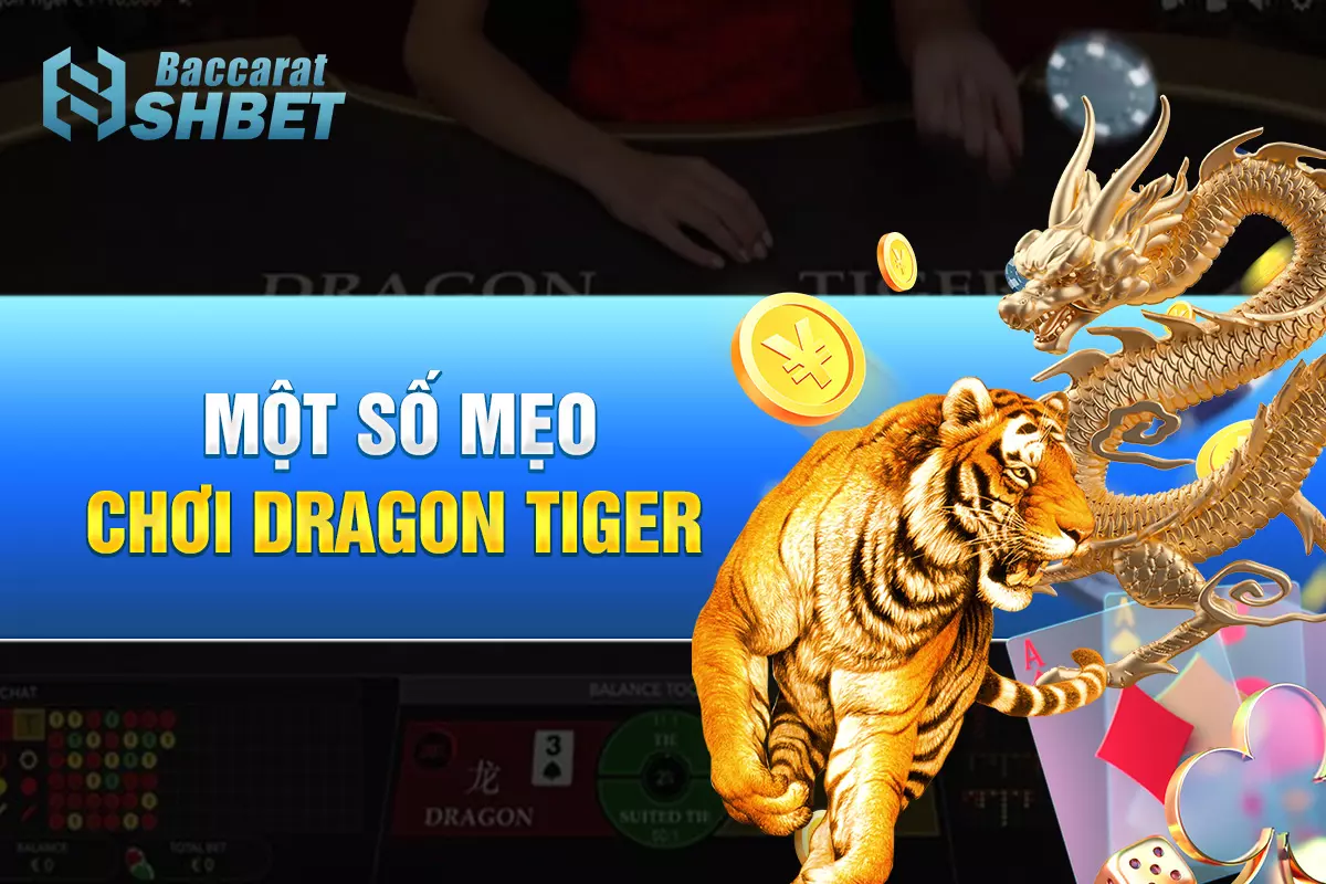 Một số mẹo chơi Dragon Tiger